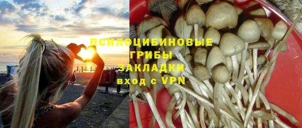 мяу мяу мука Алзамай