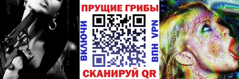 кракен зеркало  Боровичи  Псилоцибиновые грибы Magic Shrooms  наркотики 