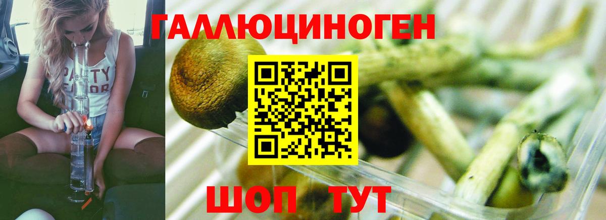 где найти   Псилоцибиновые грибы мухоморы  Псилоцибиновые грибы мицелий  Вход с VPN  Боровичи 